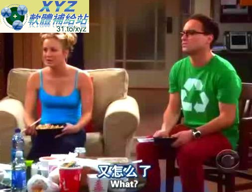 生活大爆炸 第一季 01-17集+第二季 01-23集(全) 英語發音 繁體中文/簡體中文語言字幕版(美國連續劇)(適用任何家用DVD播放機)(DVD9版)